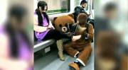 网红熊被小姐姐抓住视频,小姐姐成“抓熊达人”