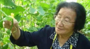 娱乐吃瓜君说二豆,二豆背后的故事与真相