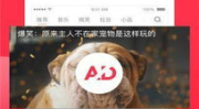 娱乐吃瓜芋泥视频下载,芋泥吃瓜达人教你轻松下载娱乐视频
