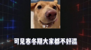 娱乐八卦吃瓜图片大全,娱乐圈吃瓜图片大全趣味盘点