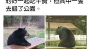 超级逗人笑的图片,超级逗人笑的图片大盘点