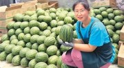 从“开盲盒”到“精准验”：“验瓜师”火了你“吃瓜”了吗？-17吃瓜