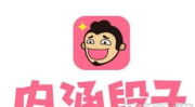 内涵段子被封杀当天事件,网络笑料平台一夜之间消失