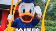 娱乐圈吃瓜鸭微博,揭秘明星幕后故事